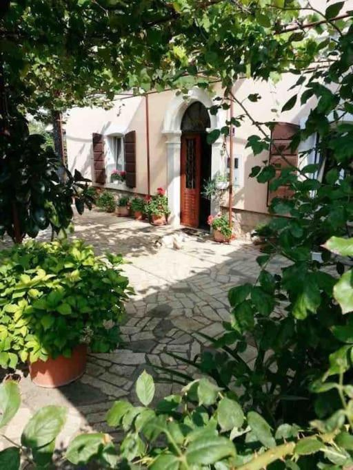 New Renovated Appartment Mauri Poreč Buitenkant foto